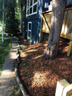 Landscaping and garden installation.  As well House painting and Deck repair and staining.