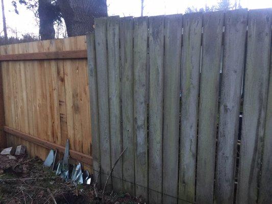 I asked Nicole to match the the original jointly built fence for light/air flow for better plant health, but the opposite was done.