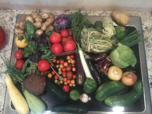 A CSA box unloaded on stove top!