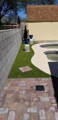 Turf and pants around pool for potted plants.