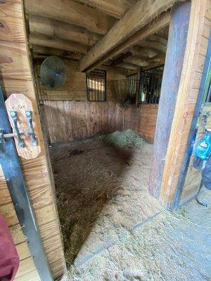 Soft Landing Stables