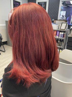 Color and cut by Holly