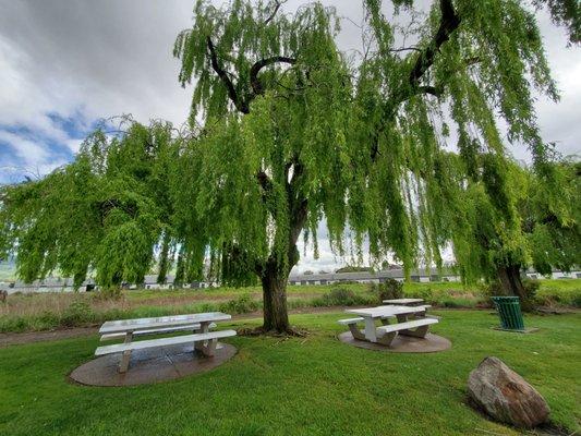 Picnic area