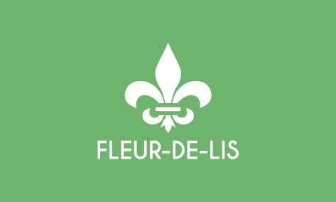 Fleur De Lis Designs