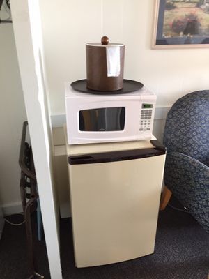 Microwave and refrigerator