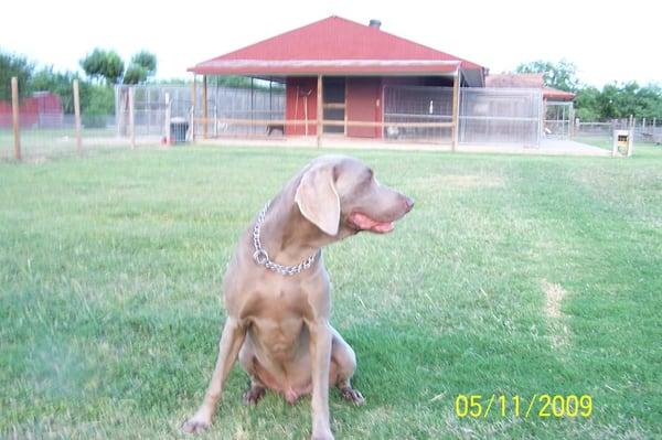 Smith Ranch Kennels