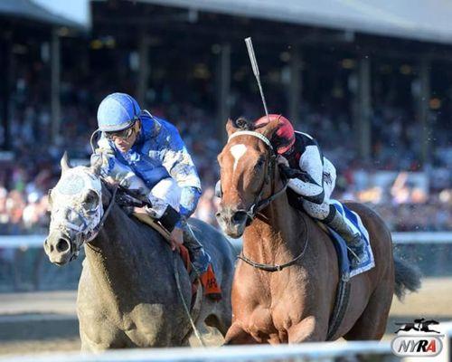 Saratoga race track
minutes away.