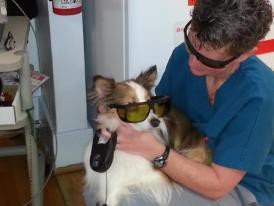 Laser therapy is a non-invasive treatment for arthritis, wounds and certain types of ear infections.