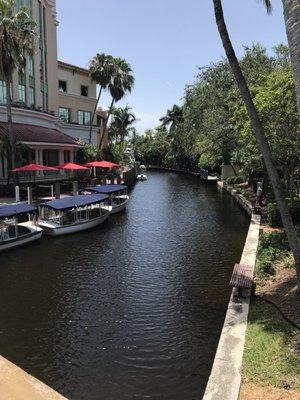 Las Olas Real Estate Professionals