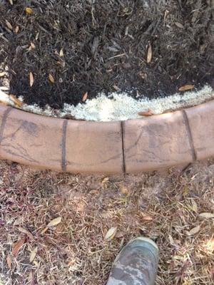 Autumn brown color curbing with Spanish texture and tile grout lines