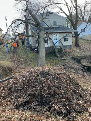 Emergency Storm Damage Tree Removal