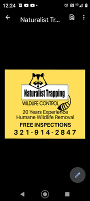 FREE INSPECTION