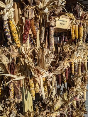 Dried corn decorations