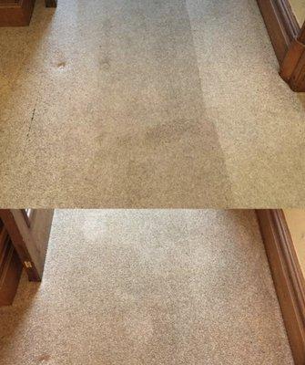 Walkway carpet basic clean