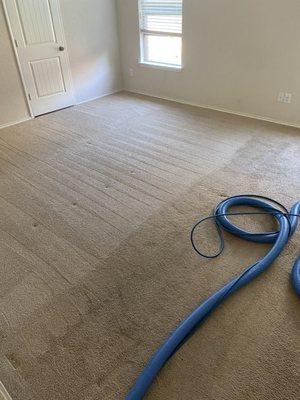 Carpet Cleaning