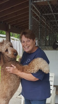 Chesterfield Kennels Dog Boarding