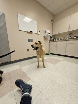 Colorado State University Veterinary Teaching Hospital