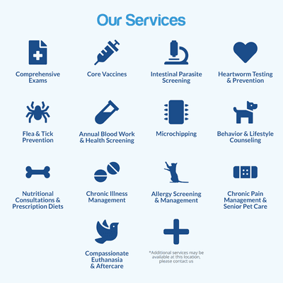 Our Services