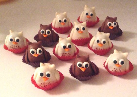 $3.00 ea Owl cake balls