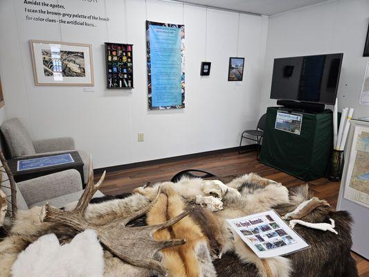 Exhibit of furs and video