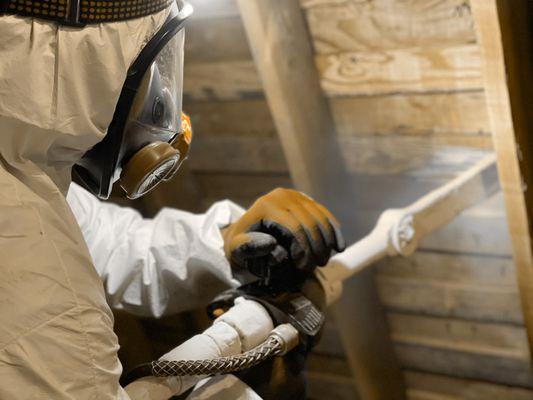 Mold Removal - Dry Ice Blasting, Atherton