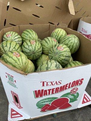 Orange watermelons