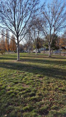 Pretty big park with lots of grass and 2 park benches for dog parents to rest.