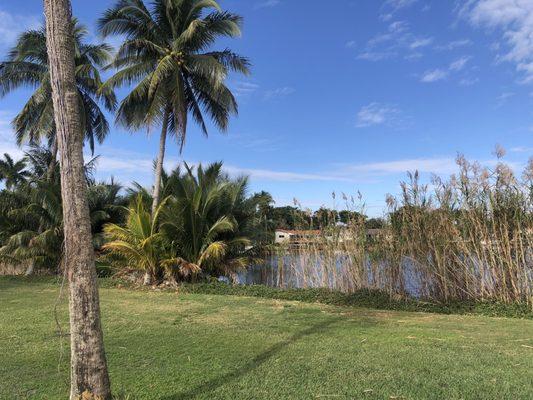 The Senator Course at Shula's Golf Club