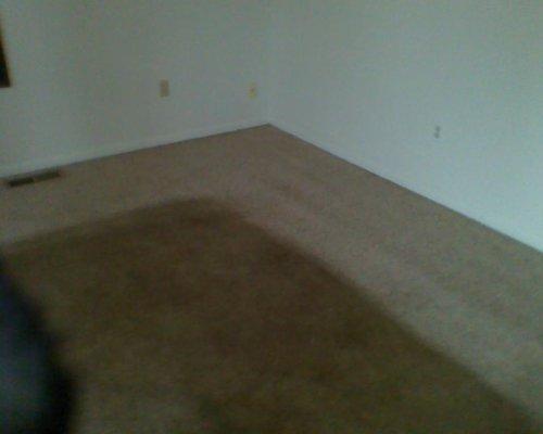 Carpet Cleaning