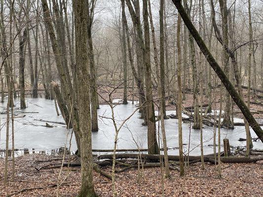 Carlisle Reservation Lorain County Metroparks