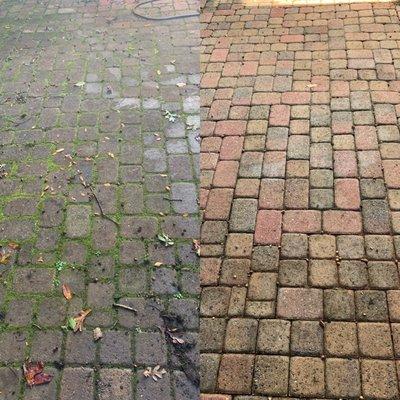 Patio Cleaning