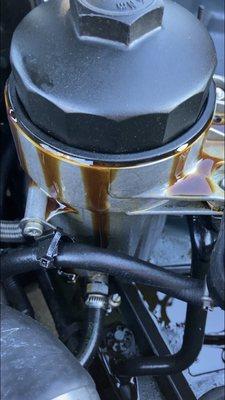 Damaged oil filter housing and cap