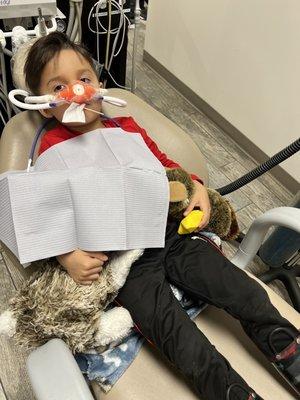 The office offered laughing gas for my 4 year old during his tooth extraction