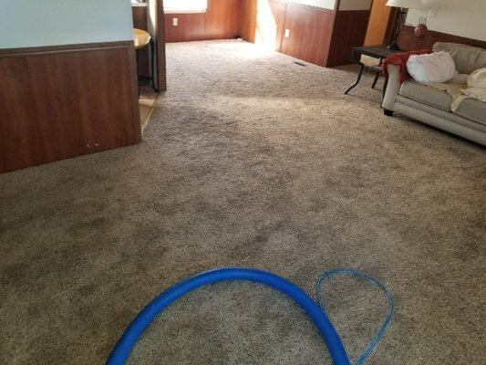 Mr. Madison Carpet Cleaning & Upholstery Specialist