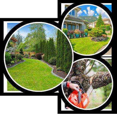 Aurelio's Lawn & Tree Service