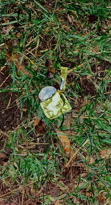 Used condom in the grass