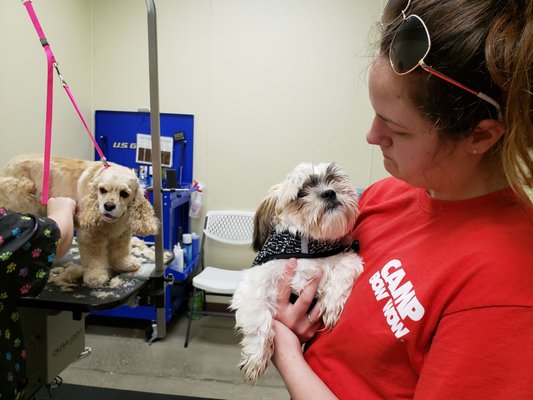 Summer Fun and Grooming Time!