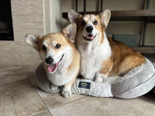 Clean and happy boys!