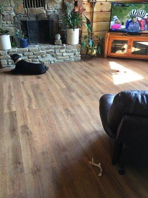 LVT vinyl tile