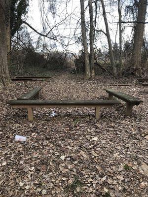 Benches in the woods