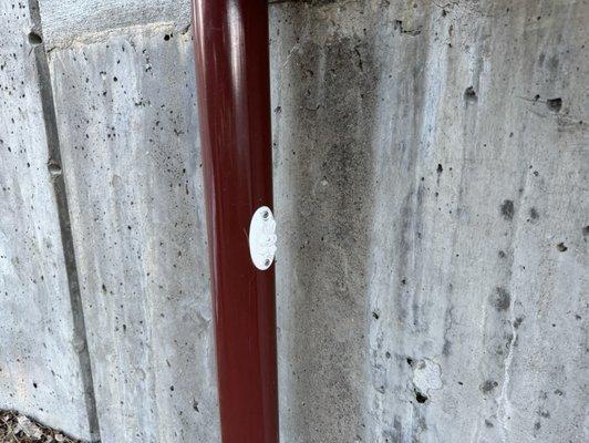 Bunny is hiding under an overpass