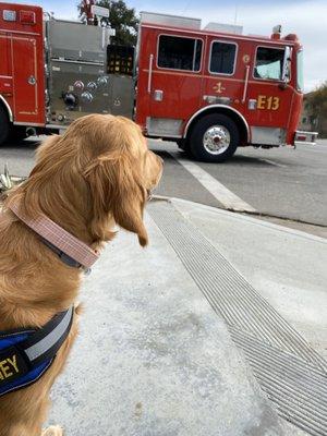 @goldenlaney saw her first fire truck and got waved by the nice firemen