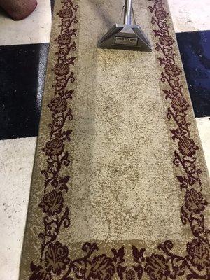 Carpets and rugs differences with steam cleaning.