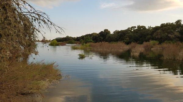 Elam Creek cove