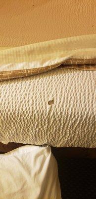 Burn holes in bedding