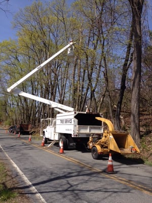 Valley Tree Experts