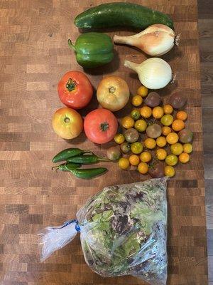 These photos are of our weekly $30 crop share for a family of 3-4