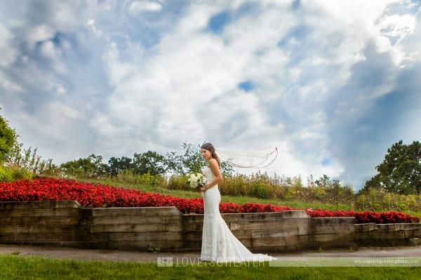 Toledo Wedding Photography