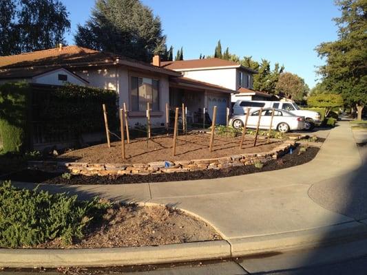 this is a job we did in south San Jose. we built a small retaining wall and put in grape row.