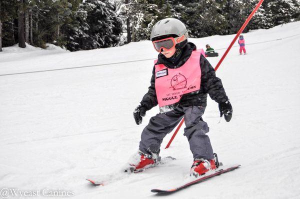 This student is just about ready for the big hill - as he's linking turns and controlling his speed well on the rope tow!